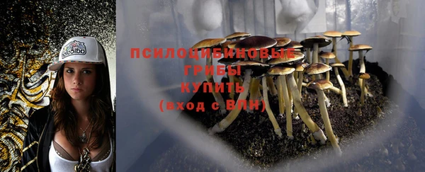 скорость Сосновоборск