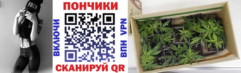 Бошки марихуана OG Kush blacksprut ссылка Ивдель